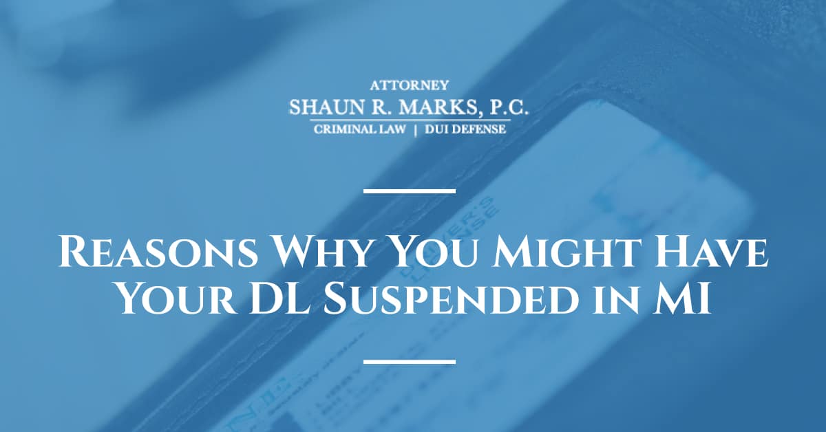 Reasons Why You Might Have Your DL Suspended in MI